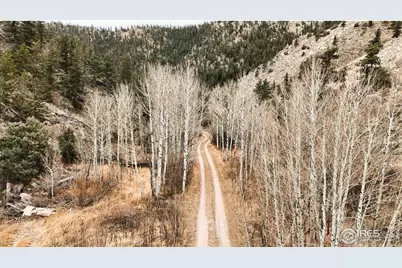 846 Boxer Ranch Rd, Livermore, CO 80536 - Photo 27