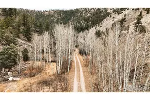 846 Boxer Ranch Rd, Livermore, CO 80536 - Photo 27