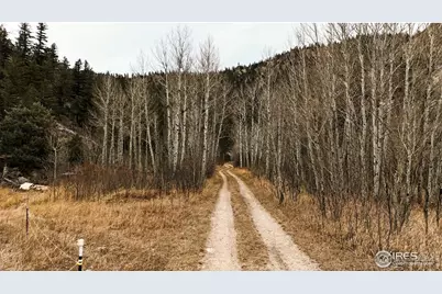 846 Boxer Ranch Rd, Livermore, CO 80536 - Photo 25