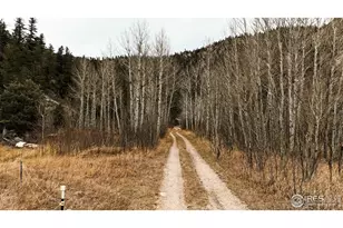 846 Boxer Ranch Rd, Livermore, CO 80536 - Photo 25