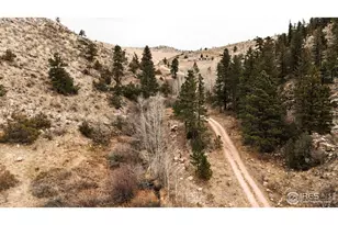 846 Boxer Ranch Rd, Livermore, CO 80536 - Photo 43