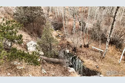 846 Boxer Ranch Rd, Livermore, CO 80536 - Photo 31