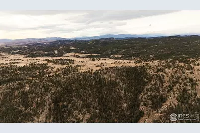 846 Boxer Ranch Rd, Livermore, CO 80536 - Photo 35