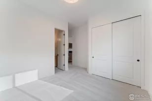 783 Canoe Birch Dr, Windsor, CO 80550 - Photo 19