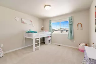 3751 Beech Tree St, Wellington, CO 80549 - Photo 17