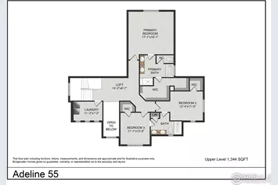 901 Hummocky Way, Windsor, CO 80550 - Photo 3