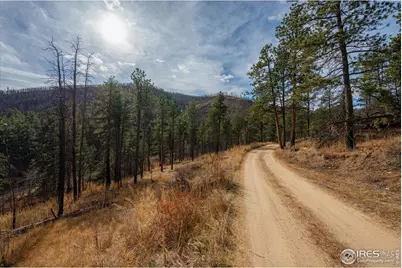 0 Cougar Cir Ct, Bellvue, CO 80512 - Photo 31