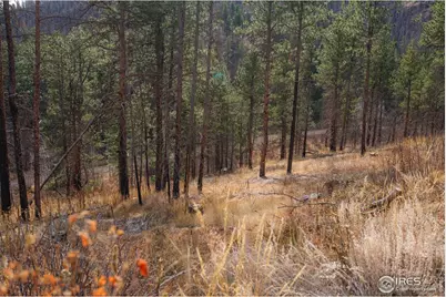 0 Cougar Cir Ct, Bellvue, CO 80512 - Photo 1