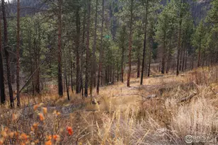 0 Cougar Cir Ct, Bellvue, CO 80512 - Photo 1