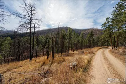 0 Cougar Cir Ct, Bellvue, CO 80512 - Photo 27