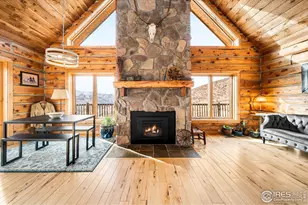 113 Purple Mountain Ct, Livermore, CO 80536 - Photo 5