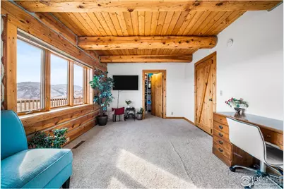 113 Purple Mountain Ct, Livermore, CO 80536 - Photo 19