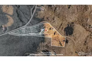 113 Purple Mountain Ct, Livermore, CO 80536 - Photo 43