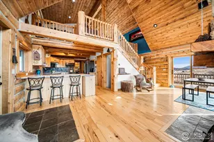 113 Purple Mountain Ct, Livermore, CO 80536 - Photo 7