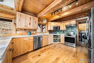 113 Purple Mountain Ct, Livermore, CO 80536 - Photo 11