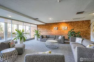 955 Eudora St, Denver, CO 80220 - Photo 13