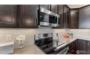 6233 Vernazza Way, Windsor, CO 80550 - Photo 5