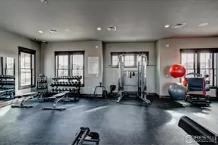 6233 Vernazza Way, Windsor, CO 80550 - Photo 27