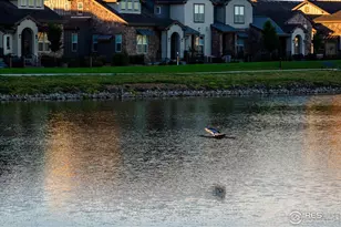 6233 Vernazza Way, Windsor, CO 80550 - Photo 39