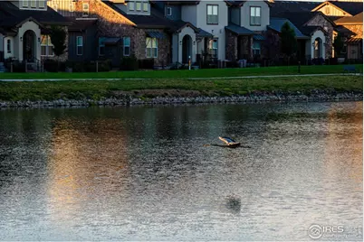 6228 Vernazza Way #2, Windsor, CO 80550 - Photo 35