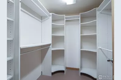 14 Daisy Ct, Windsor, CO 80550 - Photo 35