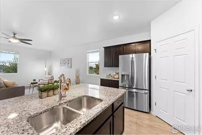 501 Buckrake St, Severance, CO 80550 - Photo 13