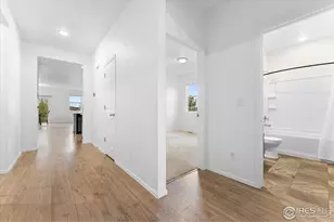 501 Buckrake St, Severance, CO 80550 - Photo 11