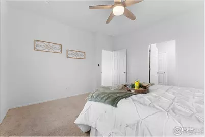 501 Buckrake St, Severance, CO 80550 - Photo 25