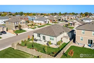 501 Buckrake St, Severance, CO 80550 - Photo 47