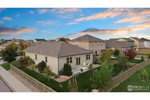 501 Buckrake St, Severance, CO 80550 - Photo 41