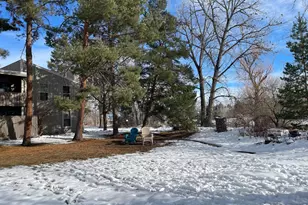 8060 Niwot Rd, Niwot, CO 80503 - Photo 11