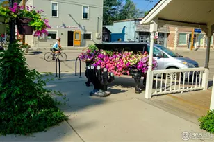 8060 Niwot Rd, Niwot, CO 80503 - Photo 17