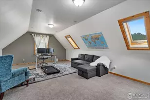 241 Deadhorse Mountain Ct, Livermore, CO 80536 - Photo 27