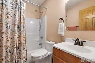 241 Deadhorse Mountain Ct, Livermore, CO 80536 - Photo 33