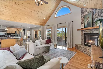 241 Deadhorse Mountain Ct, Livermore, CO 80536 - Photo 7