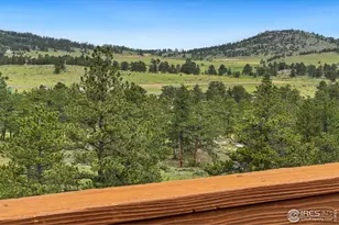 241 Deadhorse Mountain Ct, Livermore, CO 80536 - Photo 41