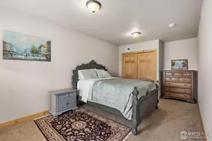 241 Deadhorse Mountain Ct, Livermore, CO 80536 - Photo 23