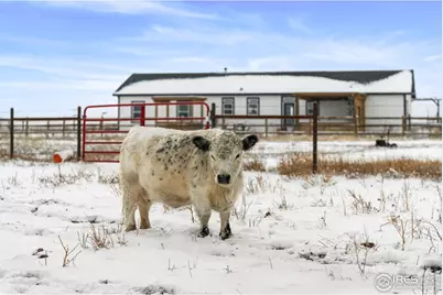 51880 County Road 33, Nunn, CO 80648 - Photo 5