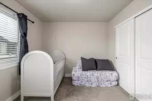 4145 Crittenton Ln, Wellington, CO 80549 - Photo 27