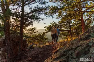 634 Fountaintree Ln, Boulder, CO 80304 - Photo 11