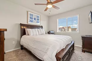 902 Maplebrook Dr, Windsor, CO 80550 - Photo 19