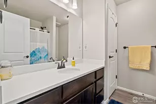 902 Maplebrook Dr, Windsor, CO 80550 - Photo 21