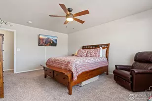 902 Maplebrook Dr, Windsor, CO 80550 - Photo 23