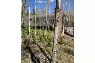 100 Santee Ct, Red Feather Lakes, CO 80545 - Photo 23