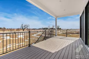 1296 Weller St, Timnath, CO 80547 - Photo 29