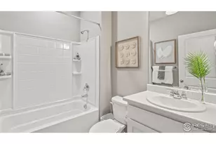 5973 Holstein Dr, Windsor, CO 80528 - Photo 13