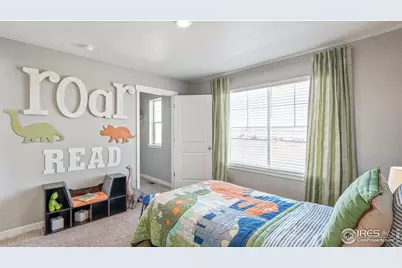 5973 Holstein Dr, Windsor, CO 80528 - Photo 23