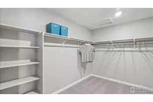 5973 Holstein Dr, Windsor, CO 80528 - Photo 19