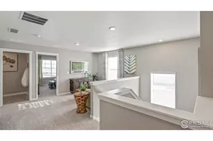 5973 Holstein Dr, Windsor, CO 80528 - Photo 15