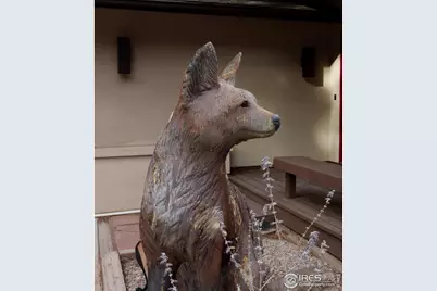 76 Pine Tree Ln, Boulder, CO 80304 - Photo 37